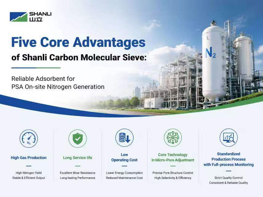 Lima Keunggulan Utama dari Shanli Carbon Molecular Sieve: Adsorben Andal untuk Pembangkitan Nitrogen di Lokasi PSA